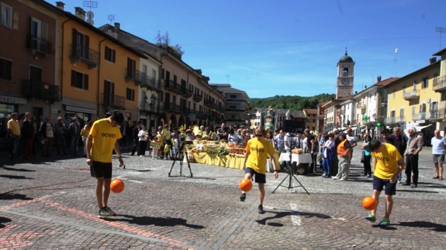 Foto
