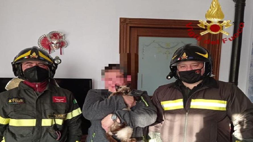 Foto