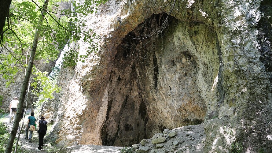 Foto