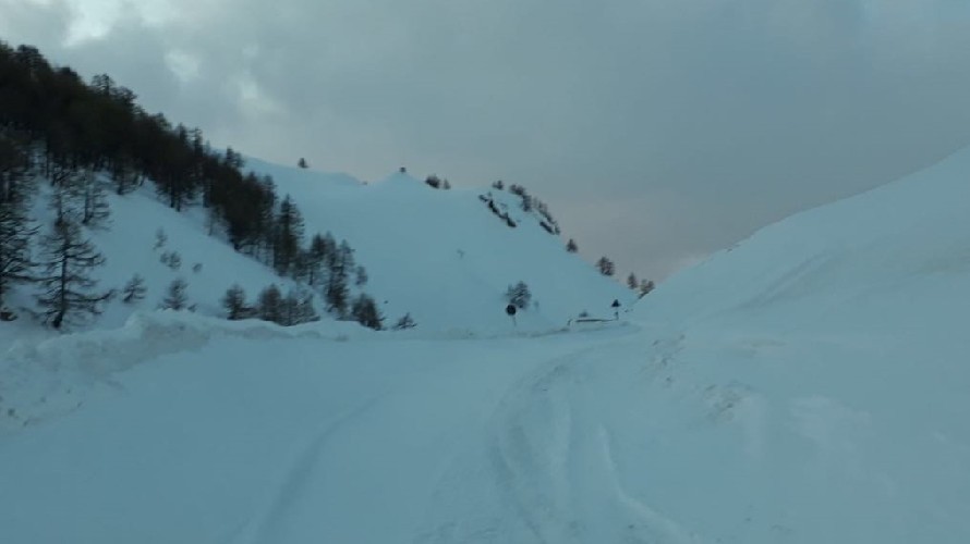 Foto