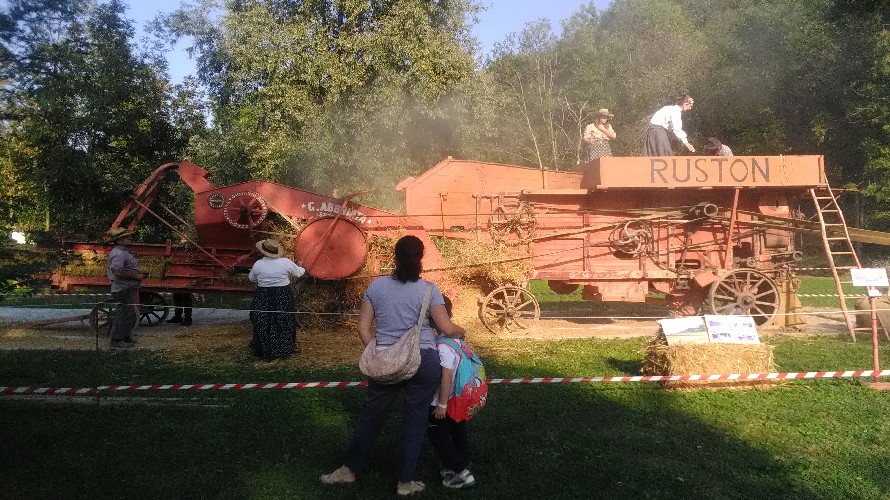 Foto
