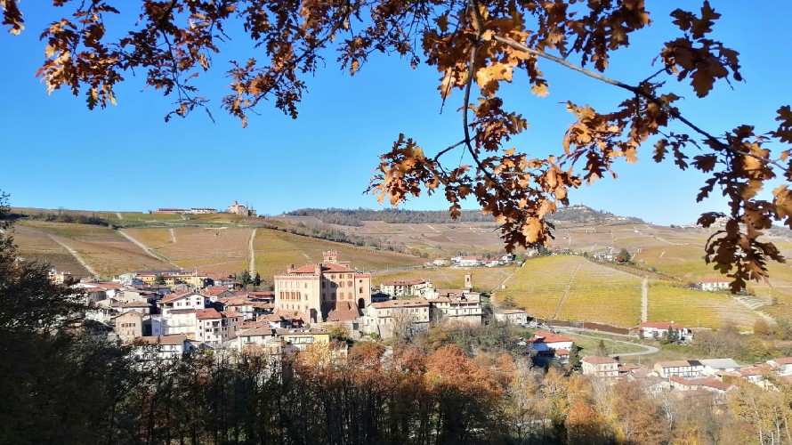 Foto