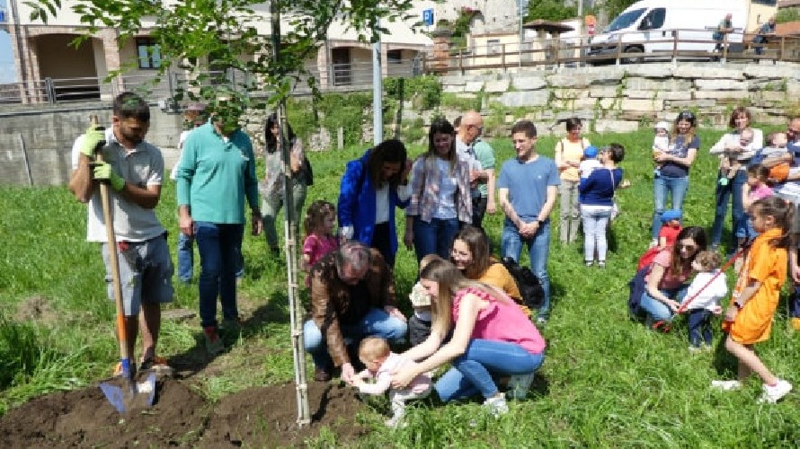 busca-accoglie-la-leva-2024-un-albero-per-i-nuovi-nati-con-famiglia-sei-granda
