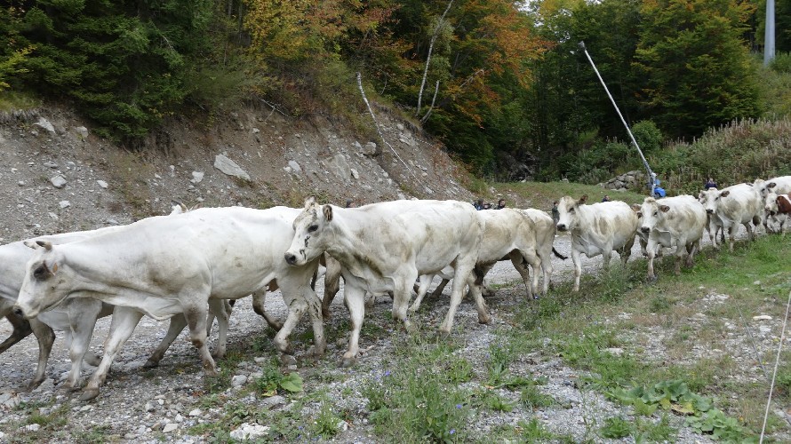 A Prazzo torna 