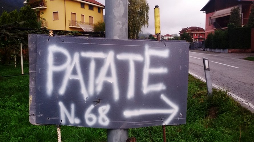 Foto